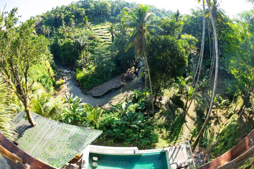 Ubud Riverside Villa Ngoại thất bức ảnh