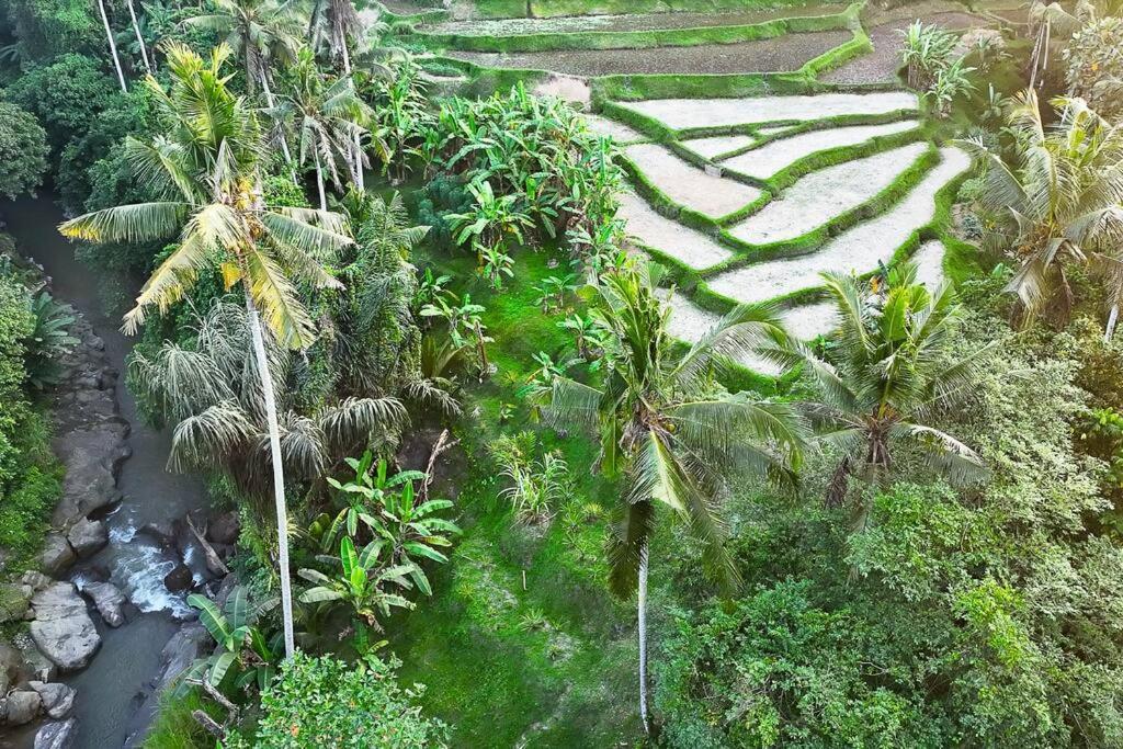 Ubud Riverside Villa Ngoại thất bức ảnh